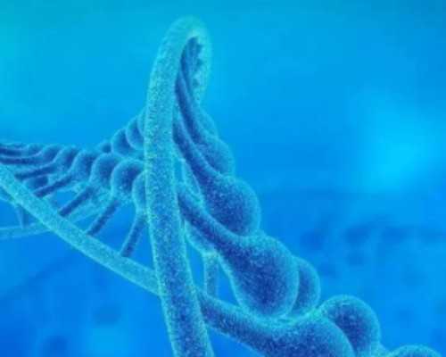 滋肾育胎丸价格？(注意：滋肾育胎丸价格说明)