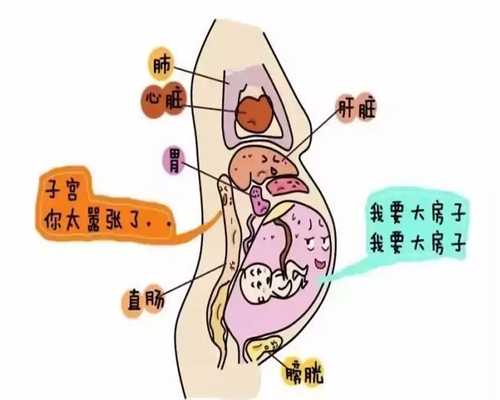 输卵管堵塞，有什么饮食可以改善疏通吗？